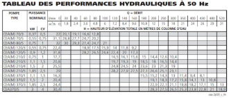Pompes de surface LOWARA srie CEA - dbit maxi 31 m/h #2